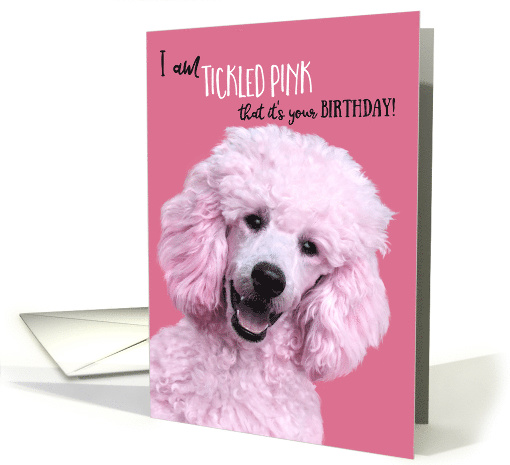 Birthday I am Tickled it's your Birthday Funny Pink... (1595580)