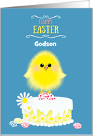 Godson Easter Chick...