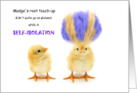 Coronavirus Self-Isolation Humor Hair Color Gone Wrong card