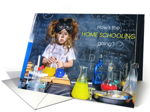 Home Schooling Self Isolation Coronavirus Humor card (1607394)