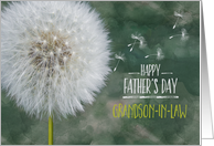 Grandson in Law Father’s Day Dandelion Wish and Flying Seeds card