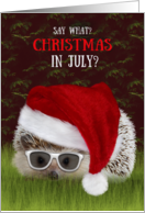 Christmas in July Hedgehog in a Santa Hat and Sunglasses card