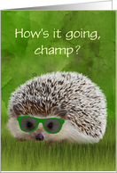 Miss you for Kids Hedgehog in Sunglasses Custom Front card