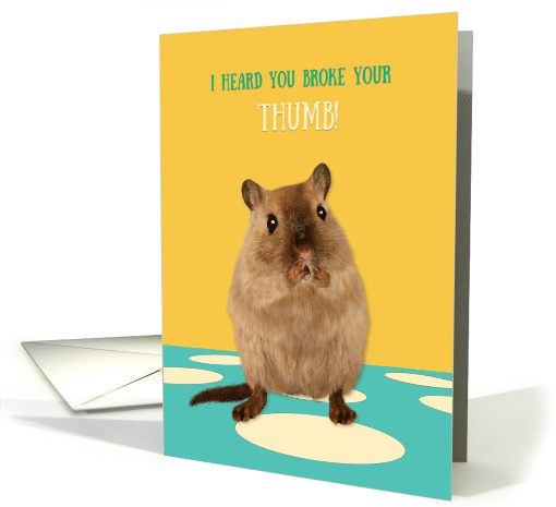 Broken Thumb Get Well Soon Funny Gerbil in Shock card (1654126)