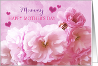 Mummy Happy Mother’s Day Pink Cherry Blossoms card