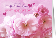 Future Mother in Law Happy Mother’s Day Pink Cherry Blossoms card