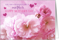 Like a Mother to me Happy Mother’s Day Pink Cherry Blossoms card