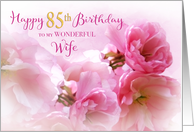 85th Birthday for Wife Pink Cherry Blossom Romantic card