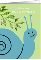 Grandma Custom Get Well Take it Slow Escargot Blue Snail Green Leaves card