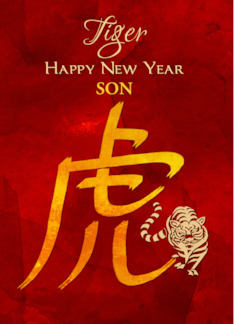 Son Chinese New Year...