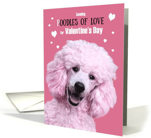 Valentine's Day Funny Pink Standard Poodle Oodles of Love card