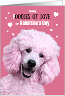 Valentine’s Day Funny Pink Standard Poodle Oodles of Love card