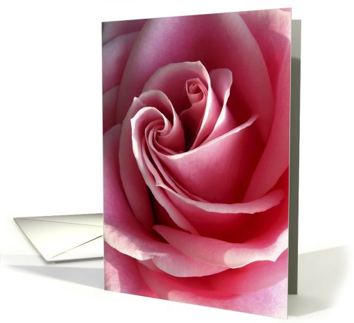 Pink rose love card (303200)