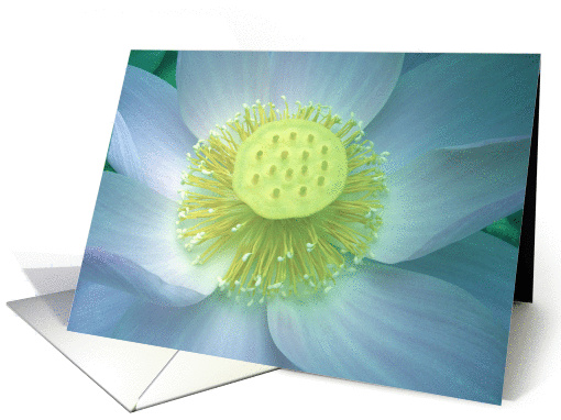 Blue Lotus card (303794)