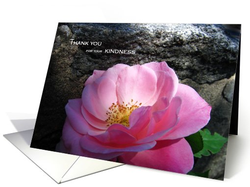 Thank you card for your kindness card (332791)