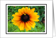 Black eyed Susan blank card