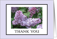 Thank you card Lilacs card
