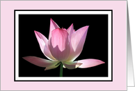Pink Lotus blank card