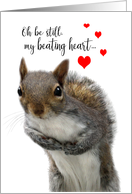 Valentine’s Day Cute Love Struck Squirrel Be Still my Beating Heart card