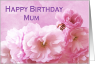 Birthday Large Print Card for Mum Pink Cherry Blossoms card