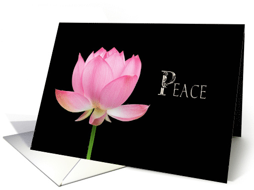 Peace Pink Lotus Blossom Spiritual Message Blank Inside card (366522)