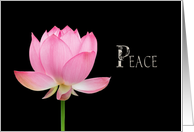 Peace Pink Lotus Blossom Spiritual Message Blank Inside card