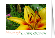 Please join us for Easter Brunch card