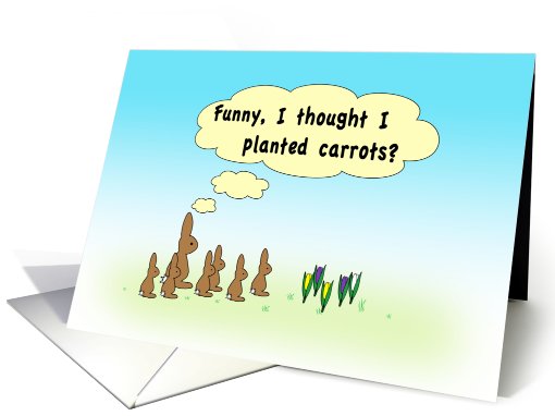 Bunny rabbits in Spring humor card (387875)