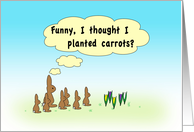 Bunny rabbits in Spring humor card