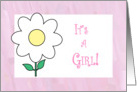 It’s a Girl! card