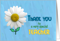 Thank you to special Teacher Fresh Daisy on Blue card