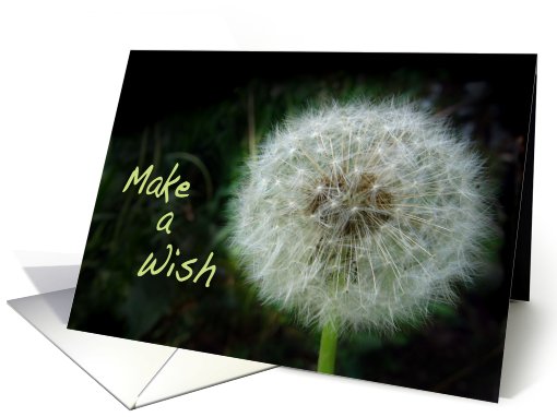 Dandelion Make a Wish Earth Day card (394147)