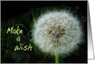 Dandelion Make a Wish Earth Day card