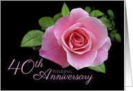 40th Wedding Anniversary Romantic Pink Rose card