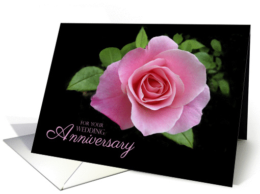 Happy Wedding Anniversary Romantic Pink Rose card (403957)