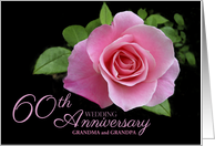 Grandparents 60th Wedding Anniversary Pink Rose Floral Custom card