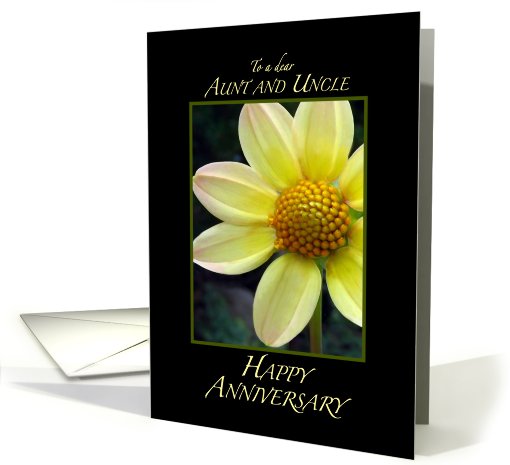 Anniversary-Aunt and Uncle card (420668)