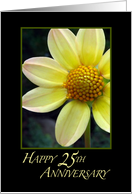 Happy 25th Wedding Anniversary card