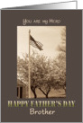 Father’s Day to Military Brother US Flag and Cherry Trees vintage look card