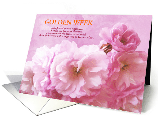 Golden Week Cherry Blossoms for Greenery Day Custom Text card (422744)