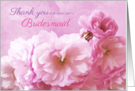 Thank You Bridesmaid Bridal Attendant Pink Cherry Blossoms card