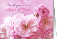 Thank You for Matron of Honor Bridal Party Pink Cherry Blossoms card