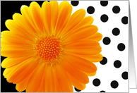Orange flower black polka dots card