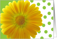 Yellow flower lime polka dots card