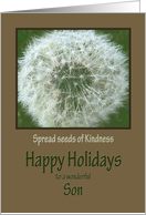 Happy Holidays Son environmental holiday card