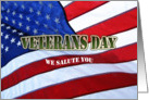 Veterans day salute to service American flag card
