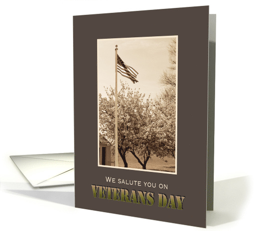 Veterans Day Vintage Look American Flag and Cherry Trees card (510019)