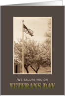 Veterans Day Vintage Look American Flag and Cherry Trees card