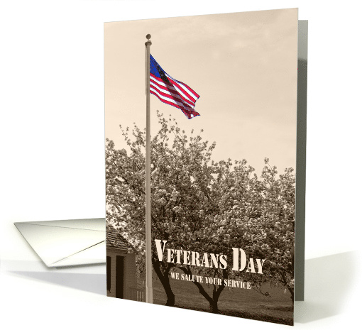 Veterans Day American Flag Vintage Look Sepia Tone card (510120)