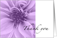 Thank you purple flower card